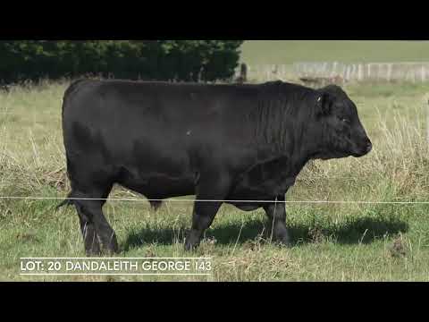 Lot 20 DANDALEITH GEORGE 143