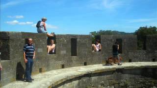 Fehlfarben-Militürk