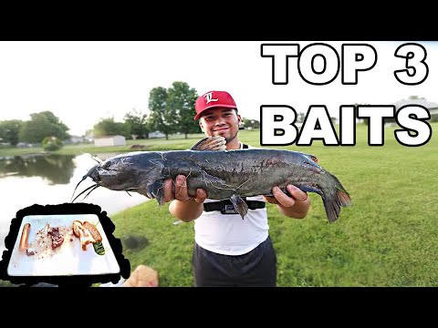 Top 3 Catfish Baits for Ponds!!