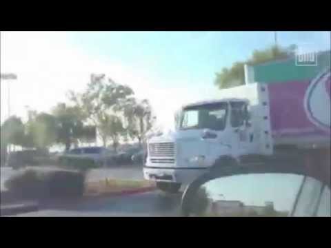 Baum fällen mit LKW, so wird ausgeparkt | HD |