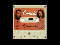 Has Cambiado Mi Vida (Con Demarco Flamenco)