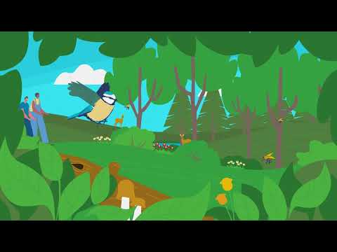 Artenvielfalt und Nachhaltige Entwicklung [Erklärvideo für die Grundschule]