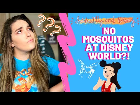 ディズニーワールドにはなぜ蚊がいないの?! |どのように、なぜ！ |ディズニーの楽しい豆知識！