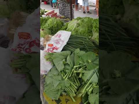 Olha quem encontrei na feira de Agrestina-PE