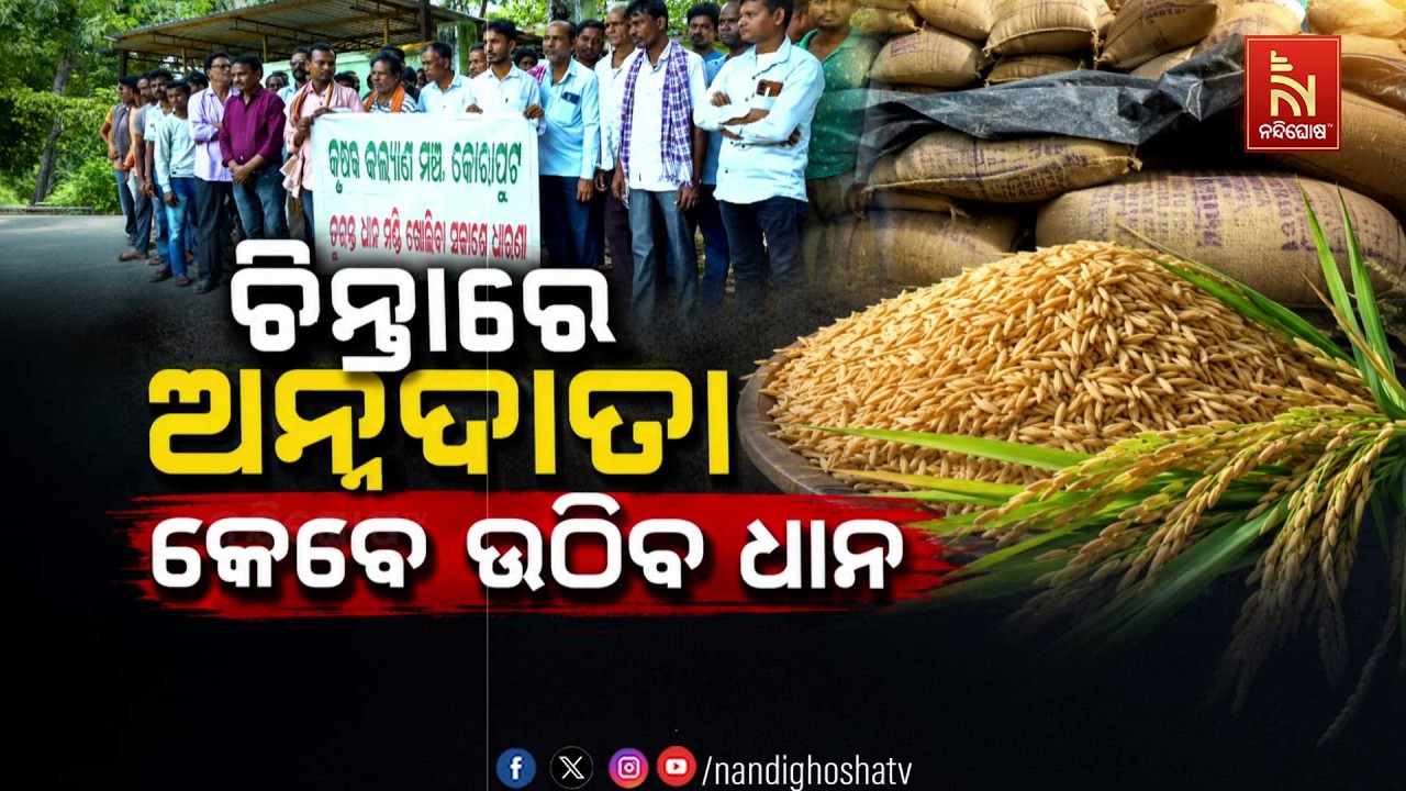 🔴Live | ଚିନ୍ତାରେ ଅନ୍ନଦାତା : କେବେ ଉଠିବ ଧାନ