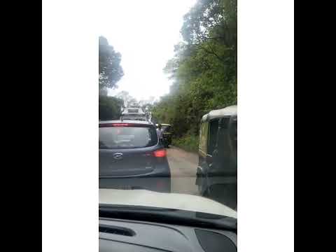 Neelakuranji || Flower that bloom once in 12Years|| weekend 4kms Traffic in mulayanagiri datta peeta