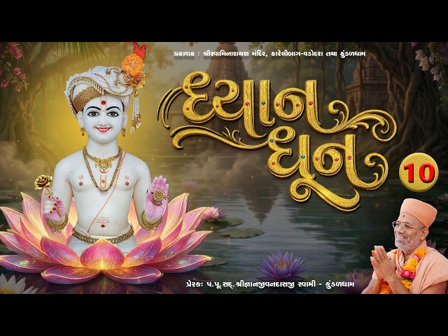 ધ્યાન સ્વામિનારાયણ ધૂન - ૧૦ |