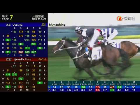 2012 The January Cup - Pure Champion (滿綵) - 巫斯義