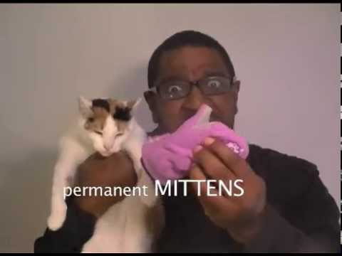 Rap-Libs: "Put It in Your Mouth" by Akinyele