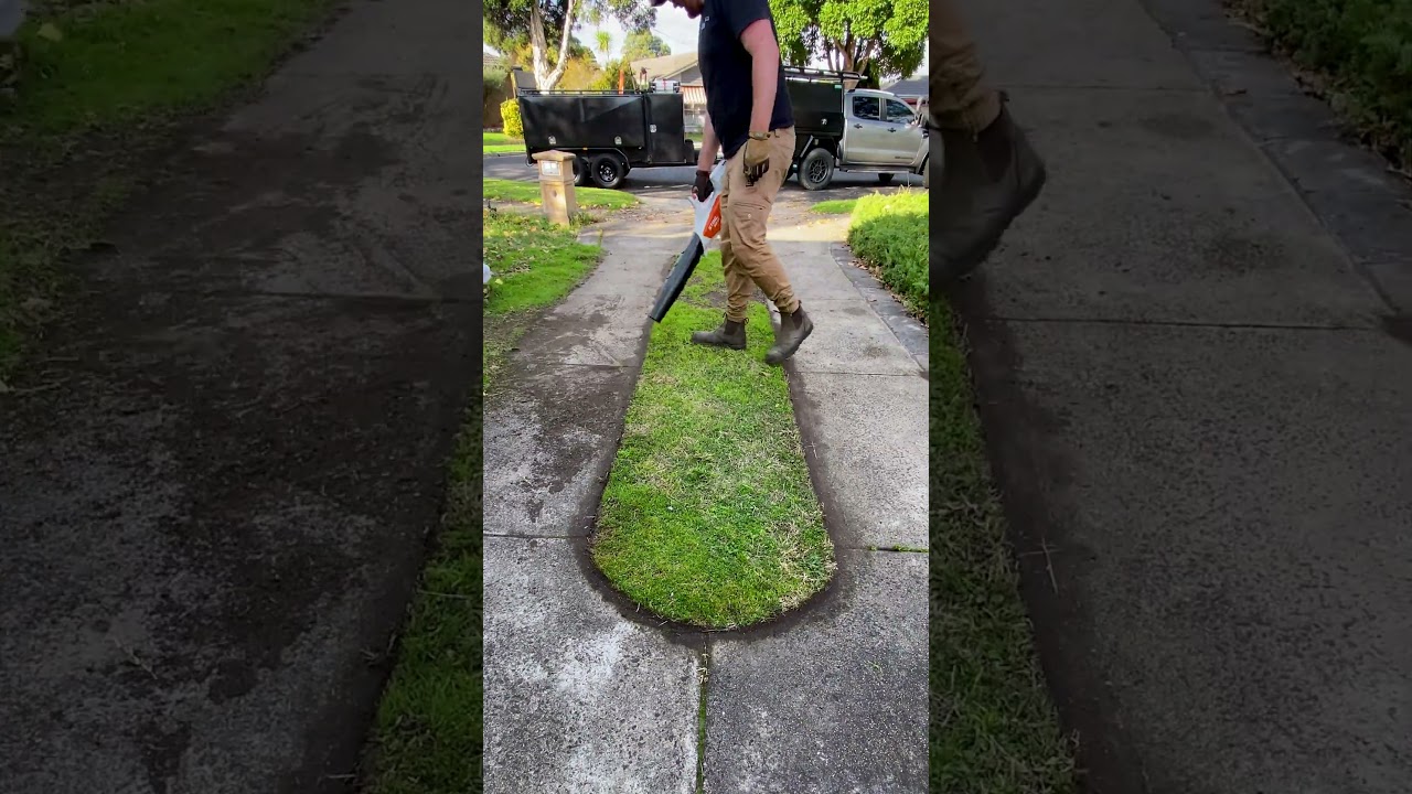 Favourite LAWN CARE process!