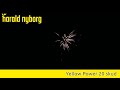 Fireart Yellow Power batteri 20 skud