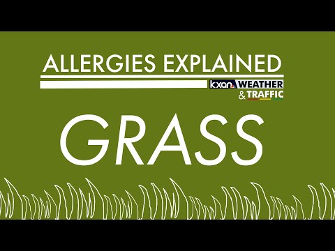 Allergies Explained — Grass
