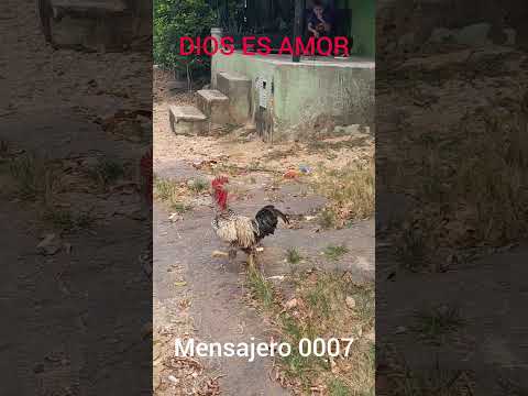 Alcaldia de LA MONTAÑITA CAQUETA