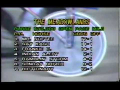 1989 Meadowlands RAMBLIN' STORM Open Pace $30,000