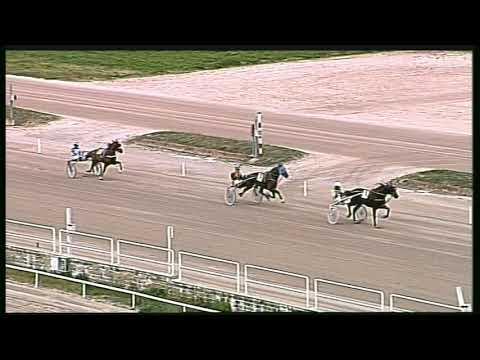 Trotto 01/03/2020 - prova di qualifica