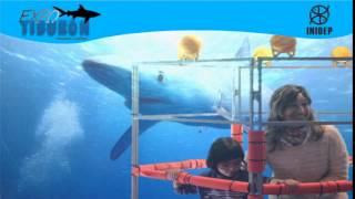 DIA 2 Expo Tiburon239