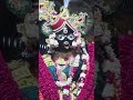 Dil Galti Hum Sa Pagal Na Hoga Swastimehul Radhakrishna Shorts Shortsfeed Ytshorts