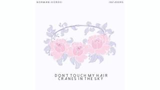 Normani Kordei - Don't Touch My Hair x Cranes in the Sky (Mashup Cover)