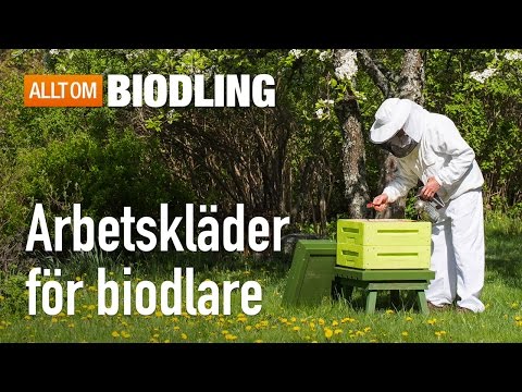 Arbetskläder för biodlare  - Biredskap - Biodling