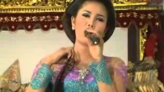 Download lagu Bojo Biduan mp3