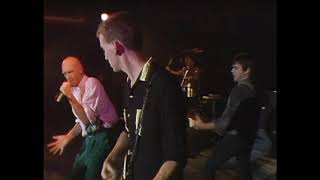 Midnight Oil - Pictures (RMIT 100th Anniversary Concert / 1987)