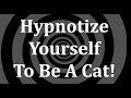 Hypnotize Yourself To Be A Cat!