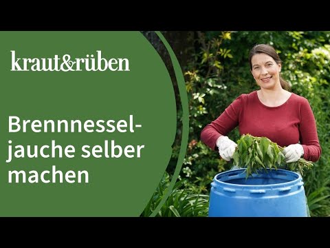 Make your own nettle manure🍃 - organic fertilizer for your organic garden!