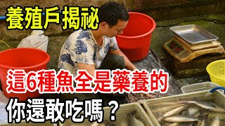 [問卦] 香魚為什麼要叫西瓜魚?