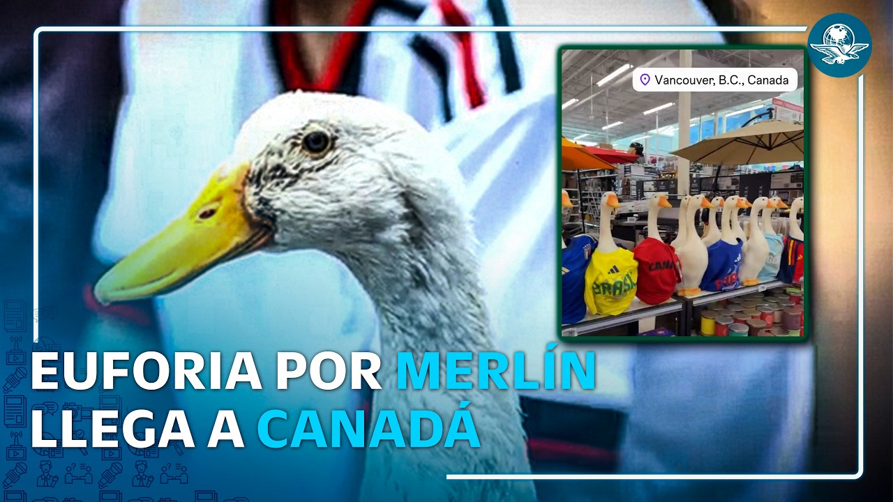 ¡De México para el mundo! Pato Merlín conquista Canadá