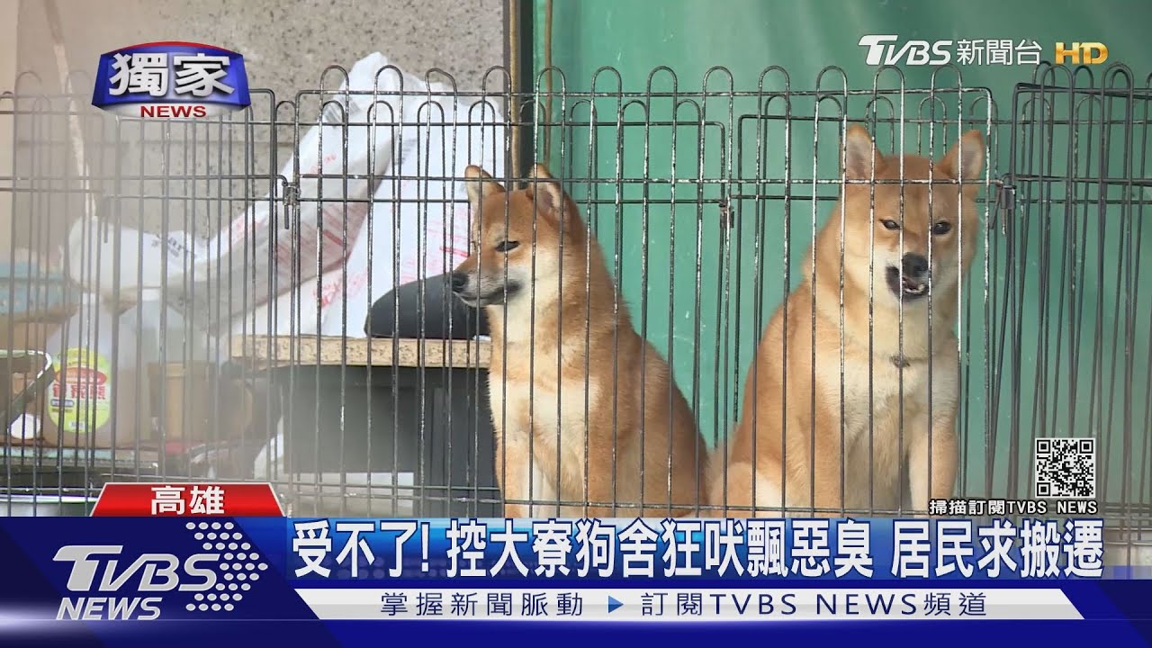 受不了！社區狗舍狂傳吠聲、「便便」臭翻天　居民求搬遷