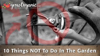 10 Things NOT To Do In The Garden