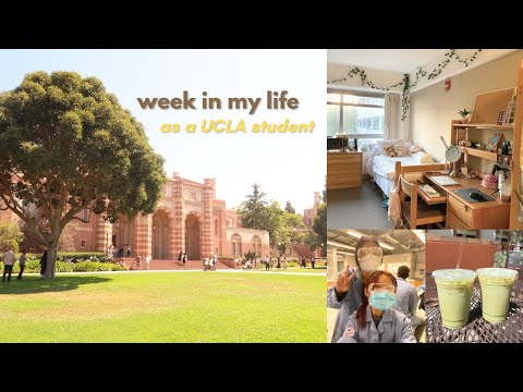 realistic college week in my life at UCLA: dining halls, lectures, studying, dorming