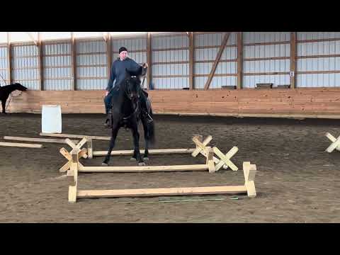 Hershey’s Special Edition - Feb 2025