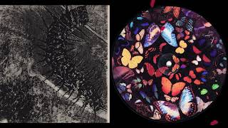 Illusion Of Safety - Schmetterling EP (1996) [7" Picture Disc]