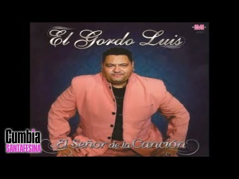 El Gordo Luis - Me dedique a perderte │ Letra