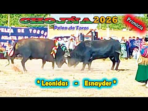 Pelea de Toros de CHOJÑA  2026 , Encuentro Estelar-"Leonidas-Esnayder".(Video Oficial) de ALPRO BO.