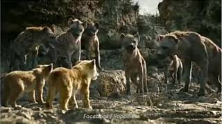 Download lagu Story WA - SINGA ( Jangan Meremehkan Orang Kecil ) mp3