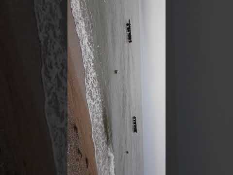 One Stage of Marriage Biret Marine