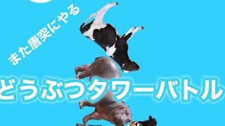 また唐突にどうぶつタワーバトル【DTB】【うるふの実況】