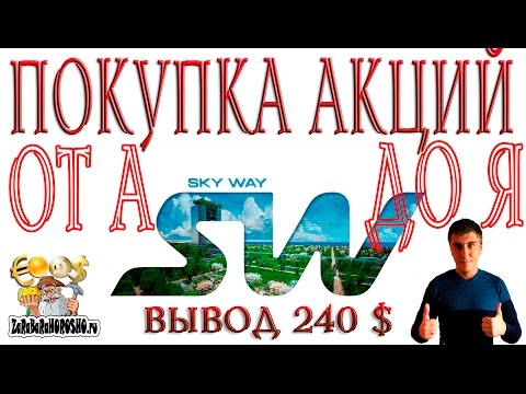 Финансирование в компанию SKY WAY от А до Я ZaRaBaRaHOROSHO