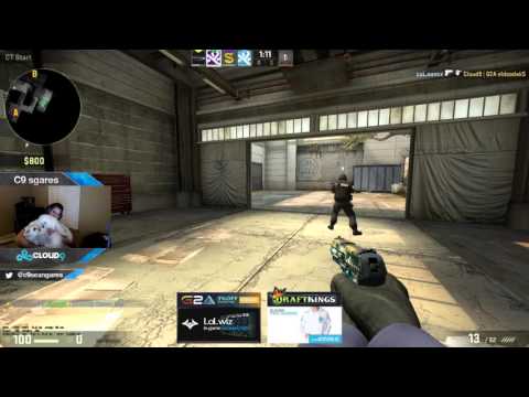 Seang@res fun with dogs