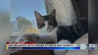 53 days after he went missing, Beans the cat reunited with owner