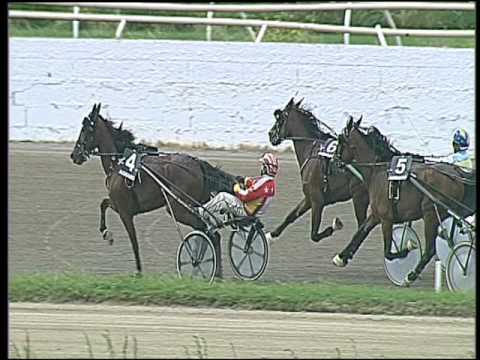 Trotto 20/05/2016 - 3° corsa