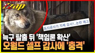 [세가지 뉴스] 돌아온 늑구에 오월드에 '책임론 확산'?! 셀프 감사에 충격!!