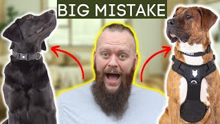 Dog Training Mistakes In 