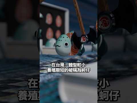 【聽完變博士】蚵仔、牡蠣、生蠔，其實是一樣的東西？！