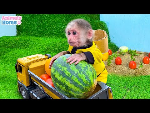 Farmer BiBi obedient take care of her friends