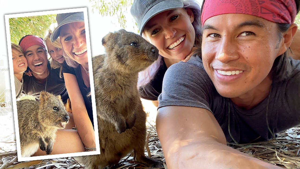 How To Take A Quokka Selfie With Kids Exploring Western Australia W Our 3 Kids To