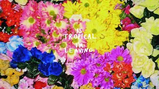 Is Tropical - Dancing Anymore video