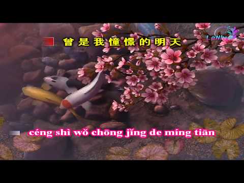 Tử - Thái Kiện Nhã - KARAOKE - 紫 -  蔡健雅 - Beat (Ngộ Không Truyền Kỳ OST)